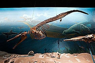 俯视角动作Roguelite游戏《深渊之影》Steam页面上线 支持简体中文